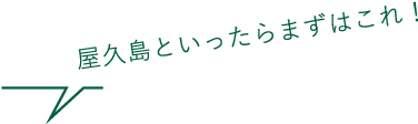 屋久島といったらまずはこれ!